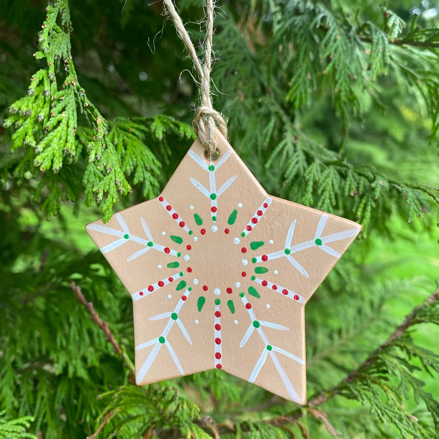 A leather star shaped ornament painted with a red, white and green snowflake pattern hangs from a tree branch